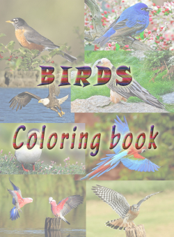 Guvanch Hojaniyazov «Птицы 1. Книжка раскраска.» Guvanch Hojaniyazov «Птицы 1. Книжка раскраска.»