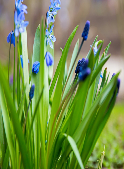 Дима Галдин «You»