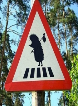 Борис Соколов «Шоферские байки» Борис Соколов «Шоферские байки»