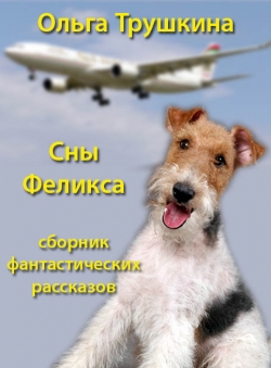Ольга Трушкина «Сны Феликса»