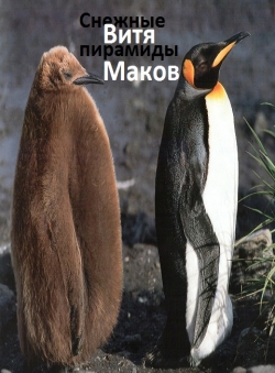 Витя Маков «Снежные пирамиды (сборник)» Витя Маков «Снежные пирамиды (сборник)»