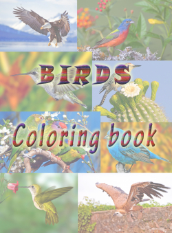 Guvanch Hojaniyazov «Птицы 2. Книжка раскраска.» Guvanch Hojaniyazov «Птицы 2. Книжка раскраска.»